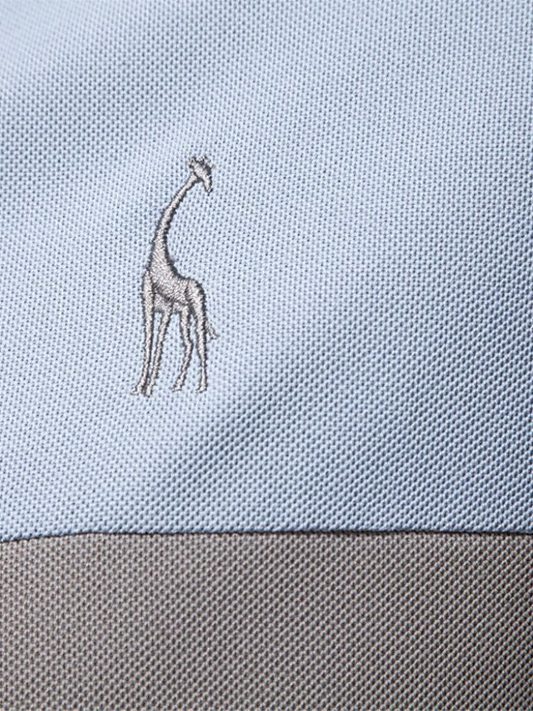 Savanna Stripe Polo – Nordwr